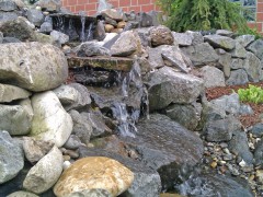 Wasser im Garten 028