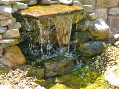 Wasser im Garten 18