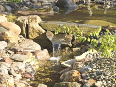 Wasser im Garten 224