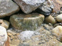 Wasser im Garten 9